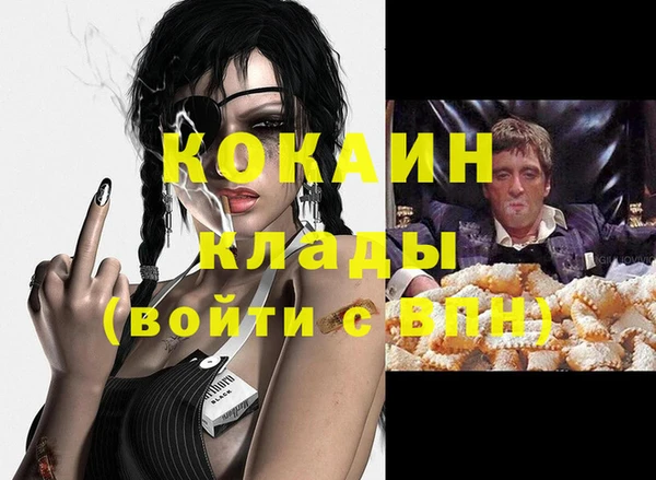 гидра Козловка