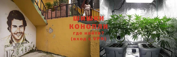 спиды Коряжма