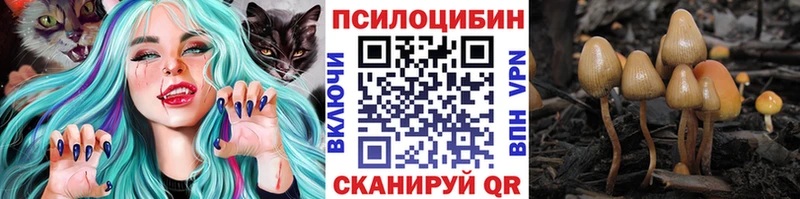 Галлюциногенные грибы Psilocybine cubensis  Бронницы 